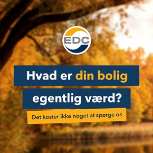 Opslagsbillede