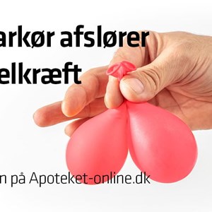 Opslagsbillede