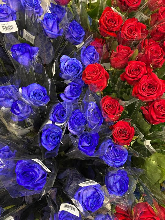 Opslagstavlen: Nyeste opdateringer fra Viby J