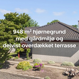 Opslagsbillede