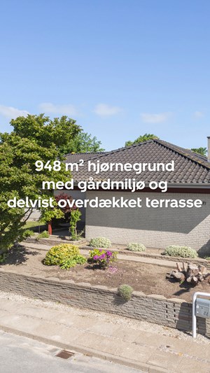opslagsbillede