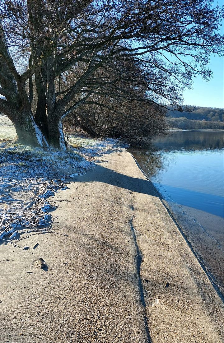 Hold trit med lokalområdet: Nyt fra Hammel