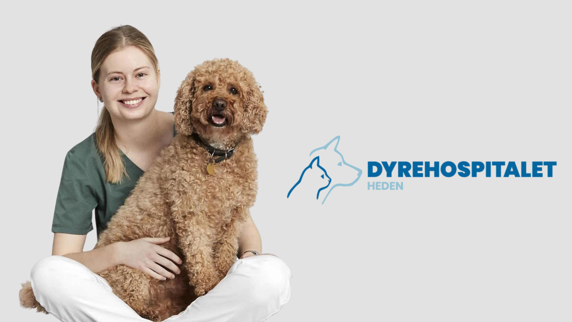 Dyrehospitalet Heden sikrer tryghed og trivsel for dit kæledyr