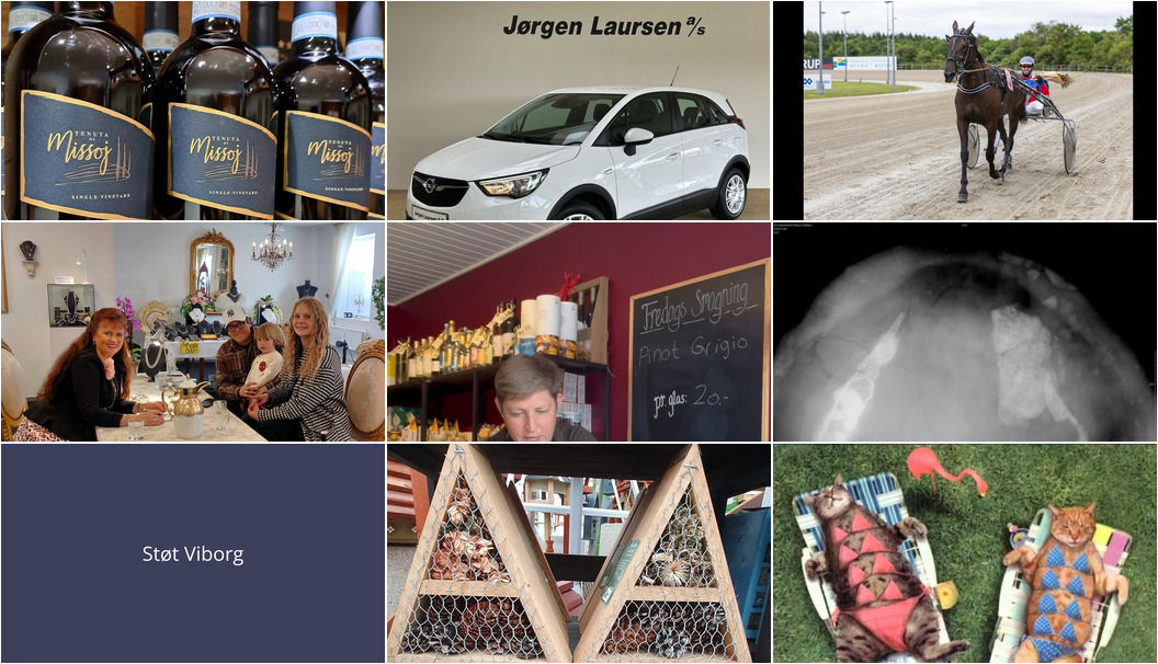 Nyt fra Guldsmed Ø, Smykkedesigner Helga Winther, Lahvino Wine & Spirits og 5 andre