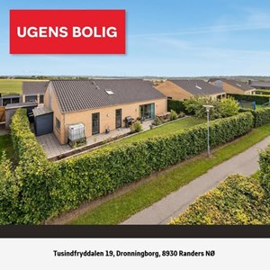 Opslagsbillede