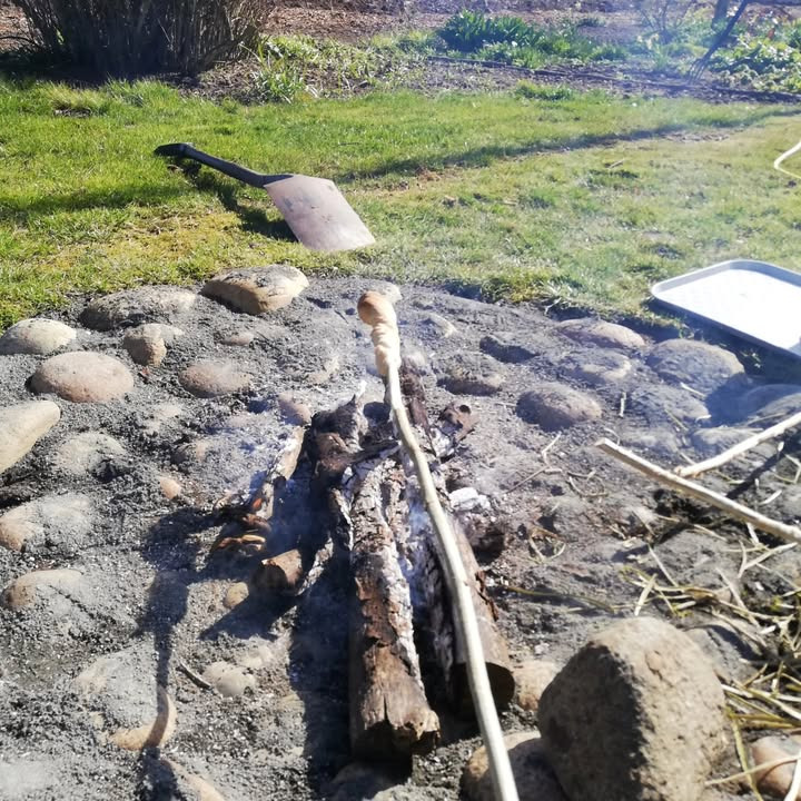 Brandsborgs Kropsterapi deler haveglæde og tips til at undgå smerter i foråret