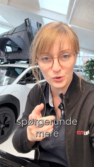 opslagsbillede