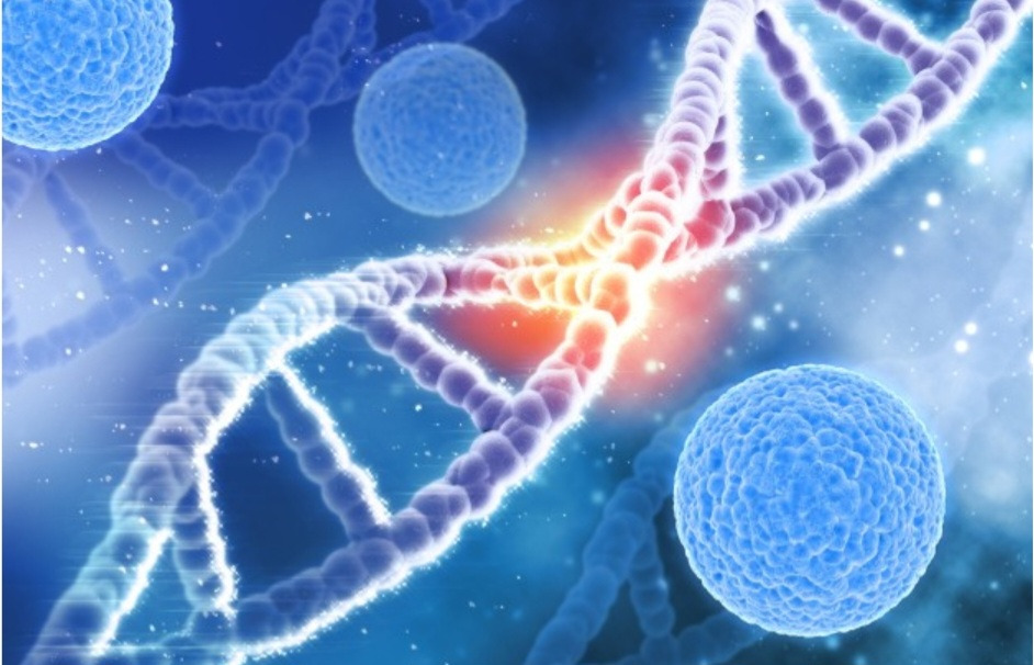 Foredrag om grundforskning i prostatakræft med professor Martin Thomsen