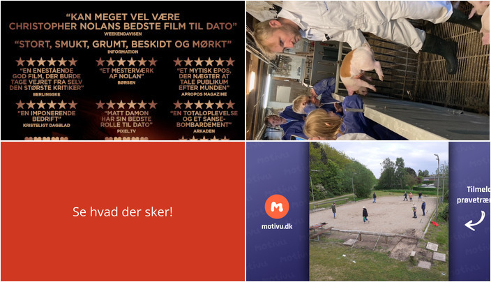 Ugens begivenheder i Grenaa: Fra filmpræmiere til grise på landbruget