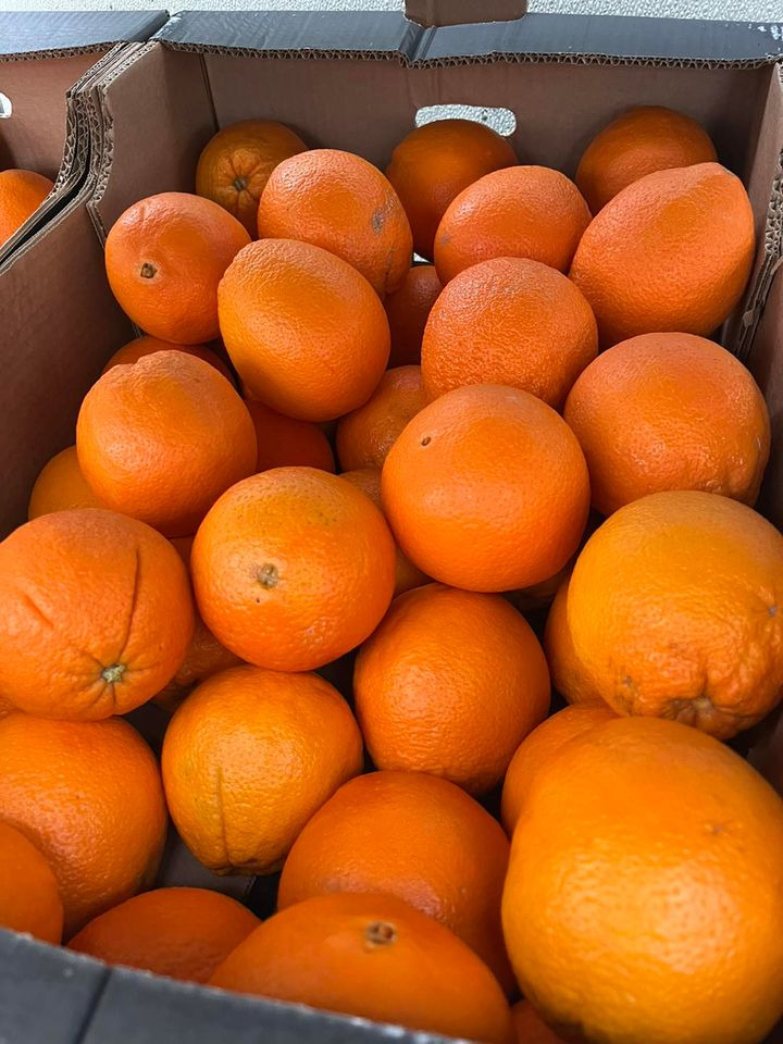 Opslagstavlen: Nyeste opdateringer fra Horsens