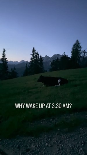 opslagsbillede