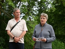 Naturheste og okser i Høje Gladsaxe Park får mere plads