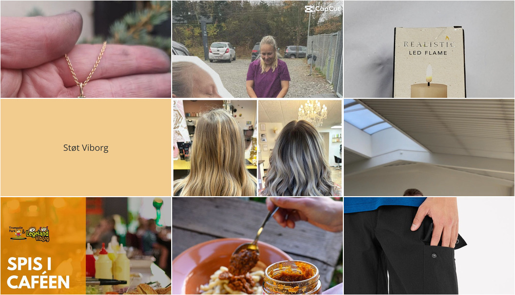 Nyt fra Legeland Viborg, Guldsmed Ø, Asmild Plantecenter ApS og 6 andre