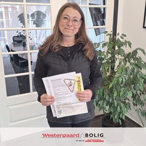 Opslagsbillede