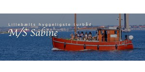 Spot marsvin i Lillebælt med M/S Sabine
