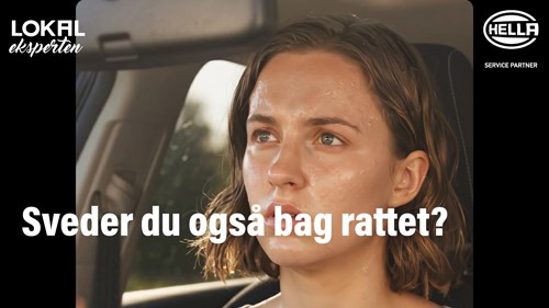 Opslagsbillede