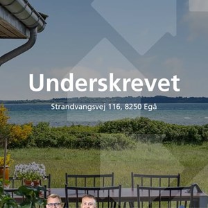 Opslagsbillede