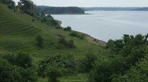 Oplev naturens skønhed på en vandretur til Ejby Ådal
