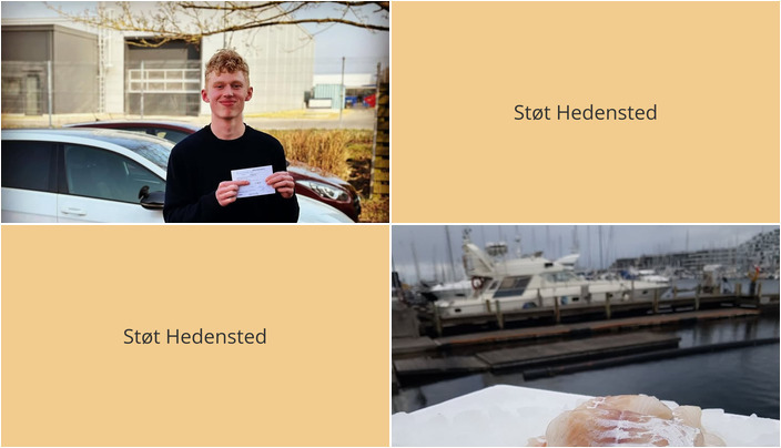 Nyt fra Beringsslagteren ApS og Lets Drive