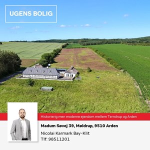 opslagsbillede