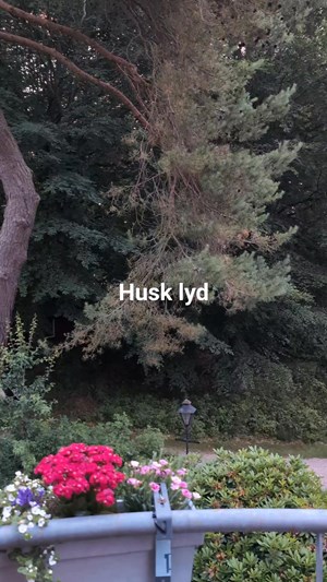 opslagsbillede