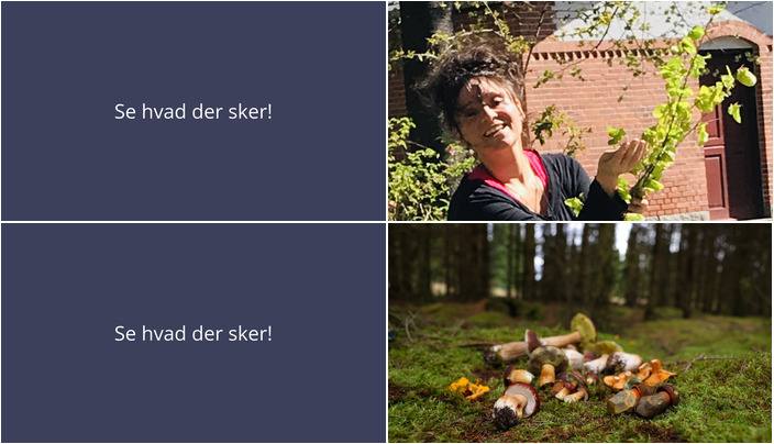 Oplev naturens spisekammer i Skodsborg denne weekend