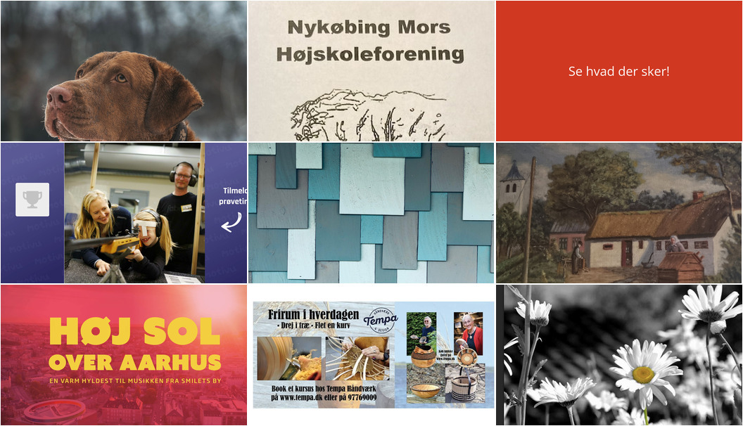 Ugen på Mors: Dyrevelfærd, kultur og musik - oplev det hele!