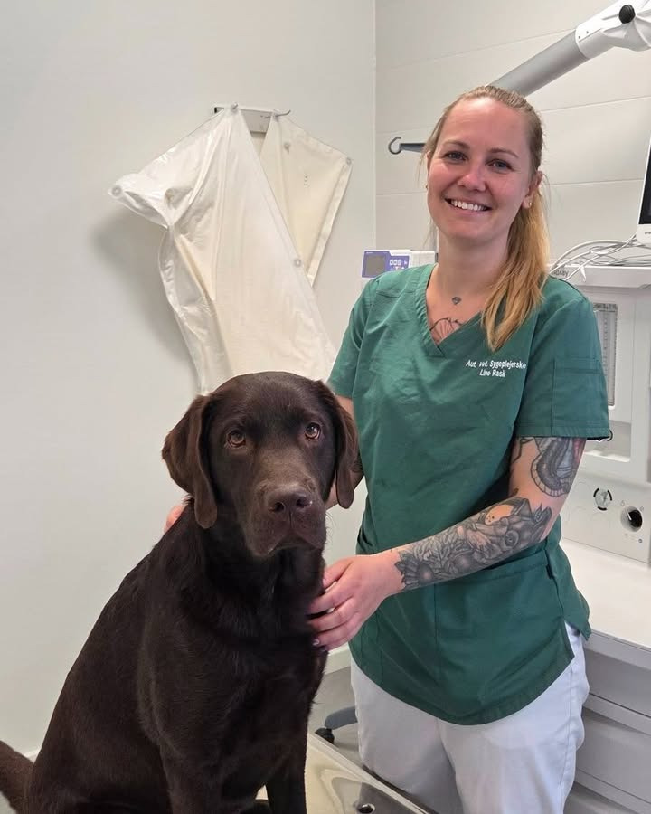 Dyrehospitalet Heden ApS præsenterer veterinærsygeplejersken Line