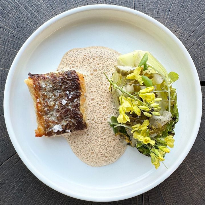 Opslagstavlen: Nyeste opdateringer fra Skive