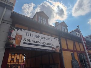 opslagsbillede
