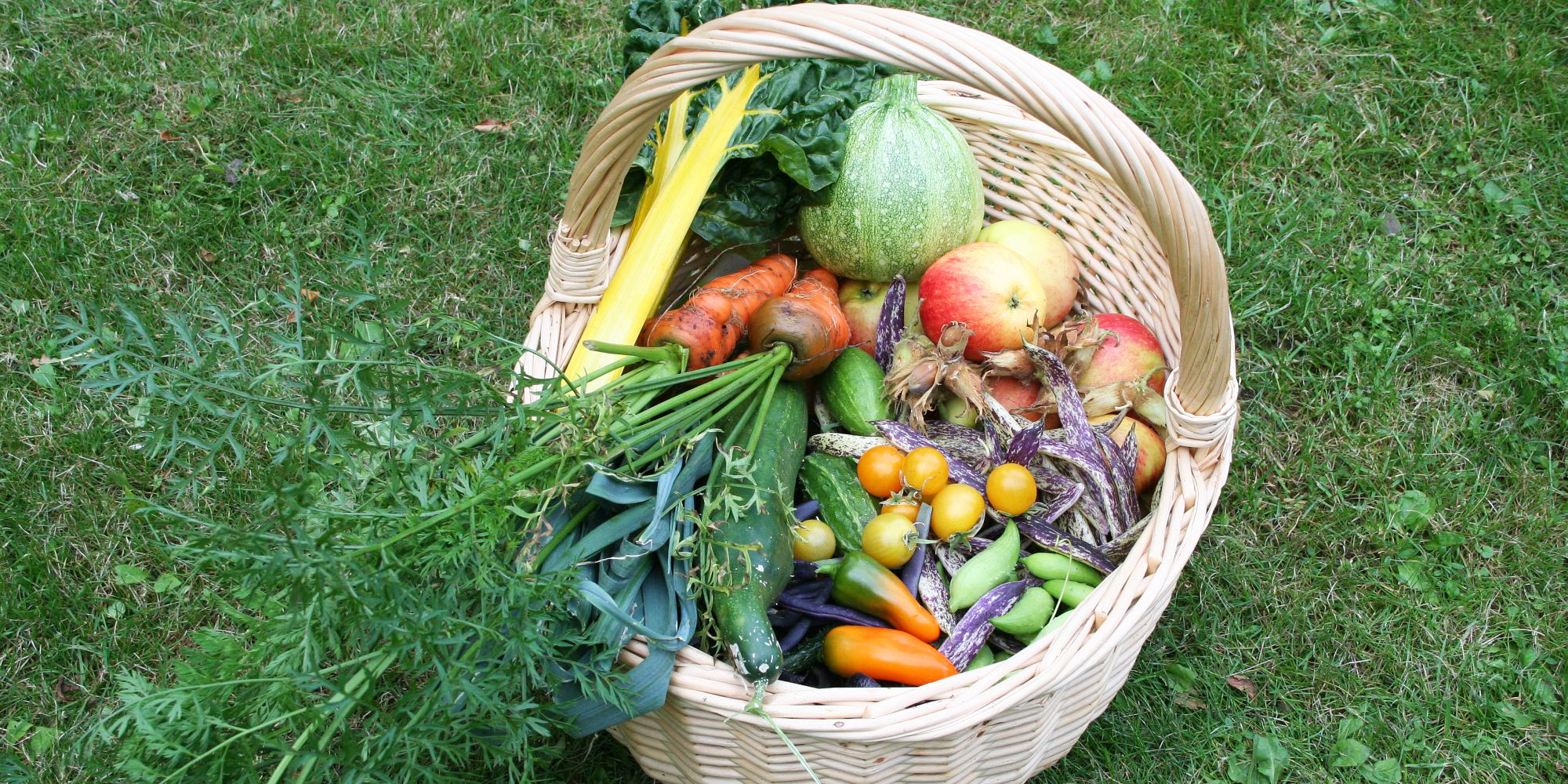 Foredrag og workshop: Dyrkning af spiselige planter i haven