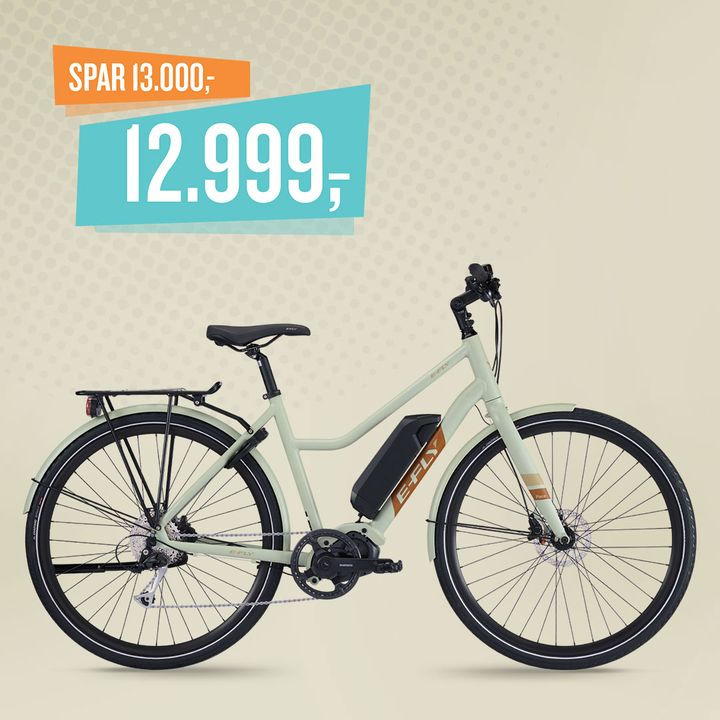 Halv pris på E-Fly Pace: Spar 13.000 kroner og køb nu for kun 12.999 kroner