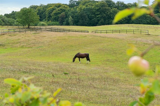 Eksklusiv bolig for 18.000.000 kr er netop kommet til salg i Hillerød - Se den og de dyreste boliger her