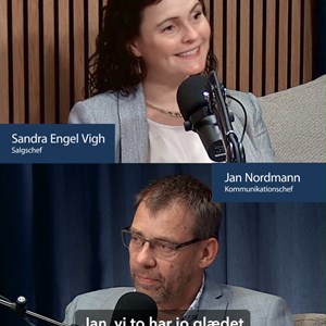 Opslagsbillede