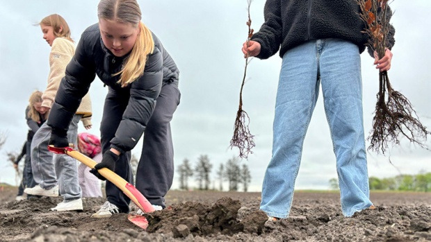 Ny skov med 18.000 træer ved Krunderup