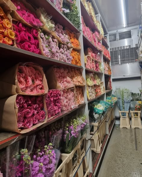 Fynbogården Blomster ApS byder velkommen til nye blomster fra Holland hver onsdag