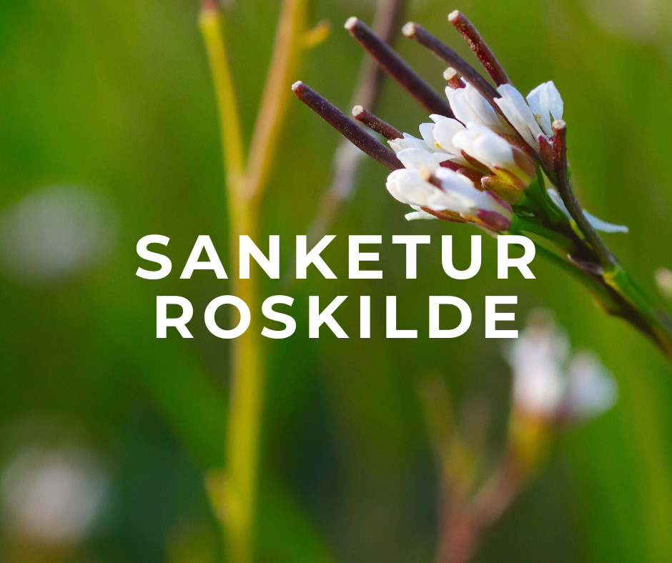 Oplev naturens spisekammer i Boserup Skov