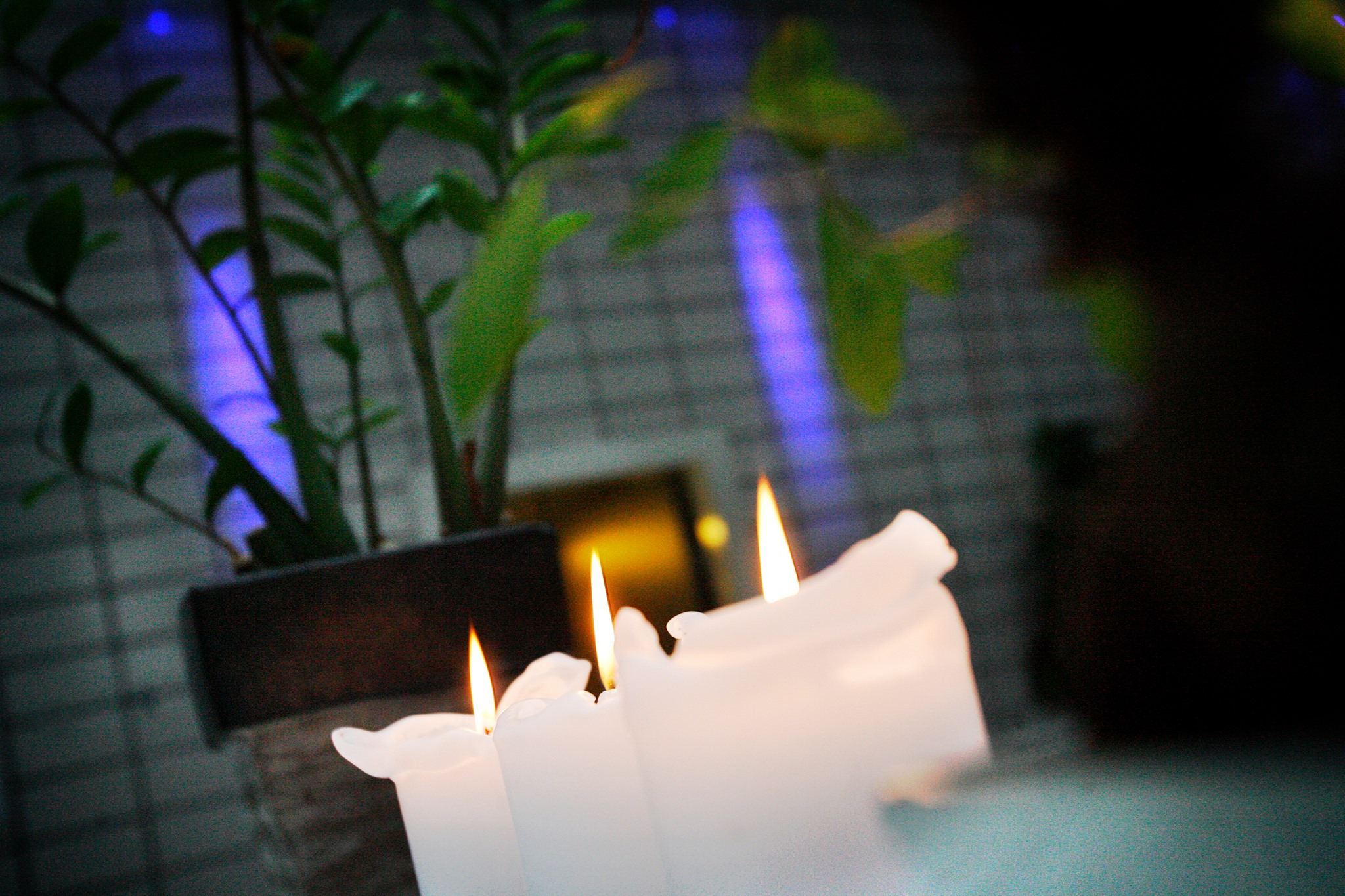 Kulturnatten 2024: Aftendyp i Frederiksberg Svømmehal