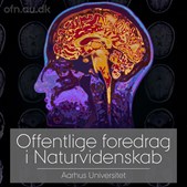 Foredrag om meningsfylde og livskvalitet på Middelfart Gymnasium