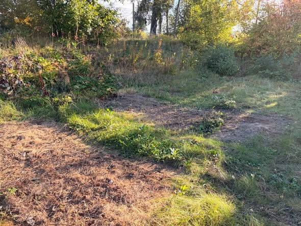 BP GreenGarden tilbyder vedligeholdelse af grønne udendørsarealer