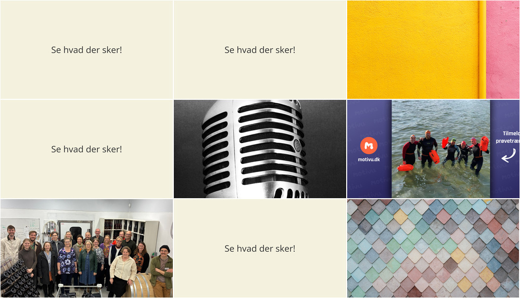 Oplevelser i Rønde: Fællessang, meditation og svømning i havet