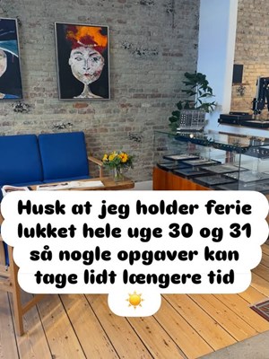 opslagsbillede