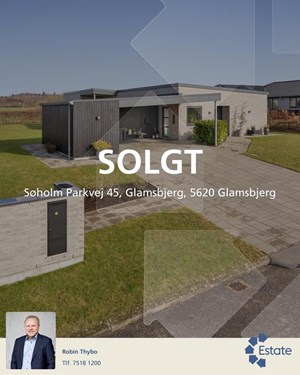 opslagsbillede
