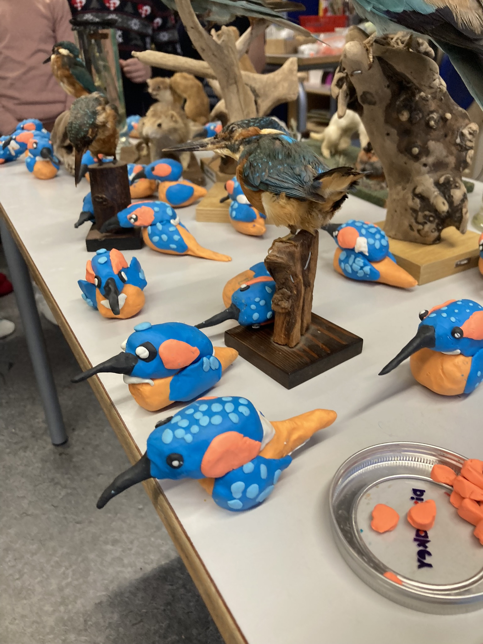 Find ro og glæde i naturen: Fugletur og modellering i Uhrehøj Plantage