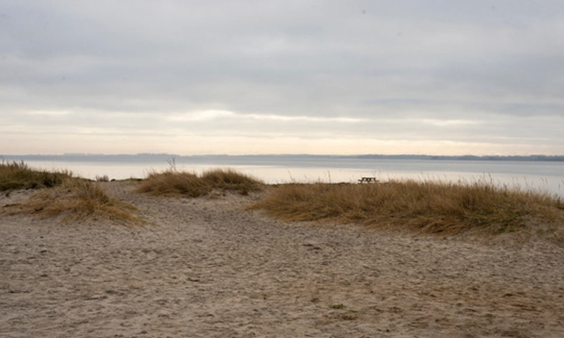Lokale frivillige forbedrer biodiversiteten ved Husodde Strand med stenudlægning