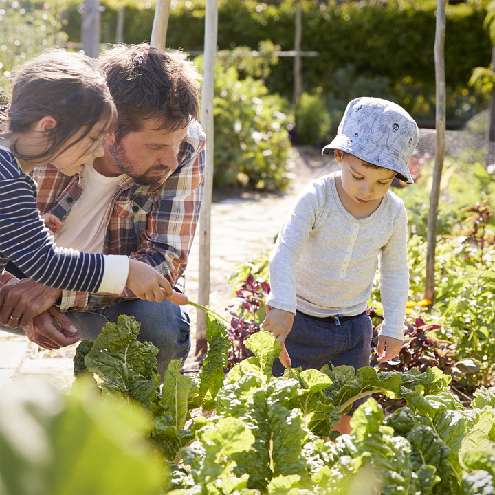 Hold trit med lokalområdet: Nyt fra Hals