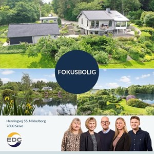 Opslagsbillede