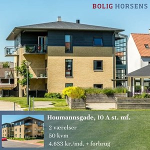 opslagsbillede