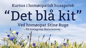 Førstehjælpshomøopati: Kursus i Hvalsø