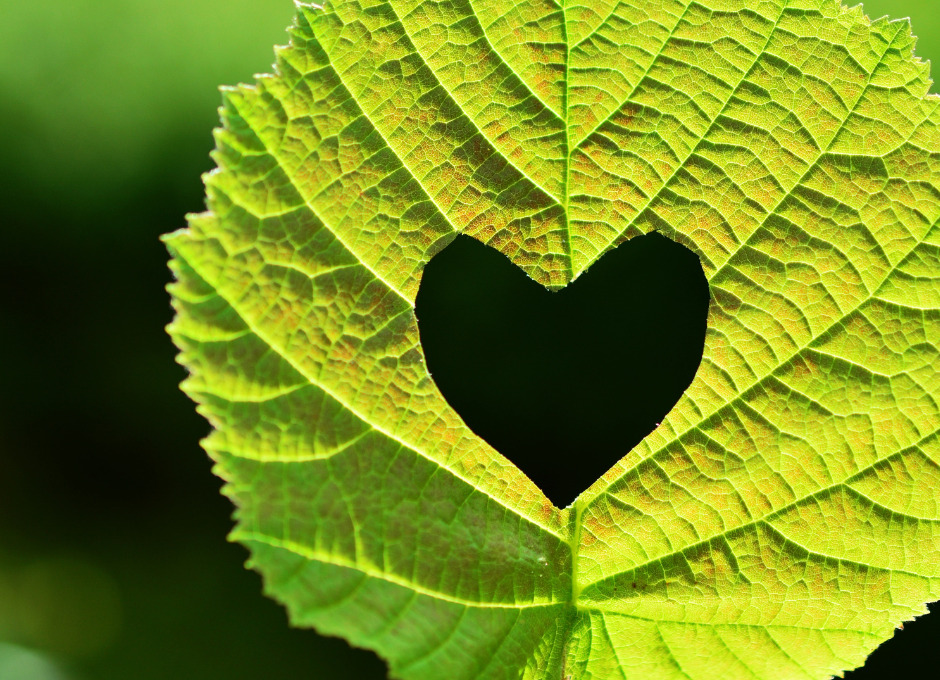 To inspirerende aftener på Næstved Bibliotek: OCD og litteratur